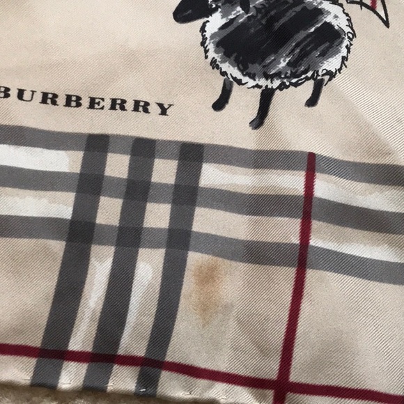 🌸🌺🌷🌹Burberry Scarf
